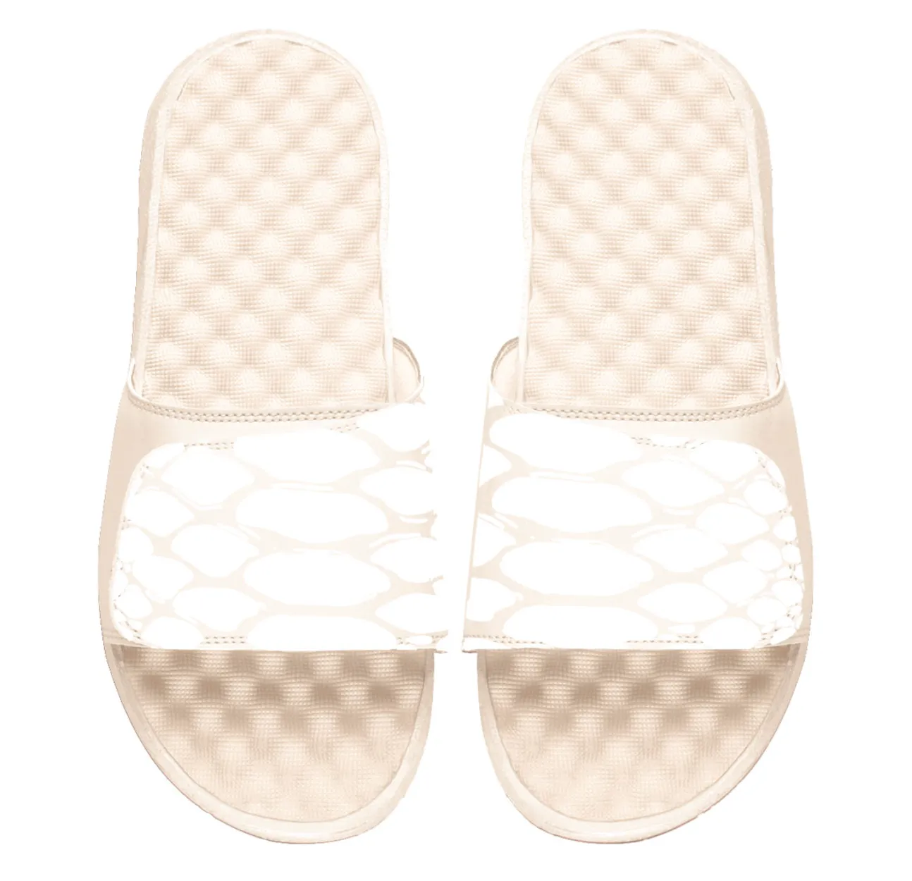 Snake Slides